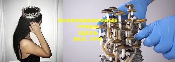 таблы Алексеевка