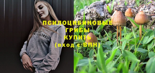 дурь Семёнов
