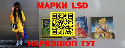 гидропоника Гатчина