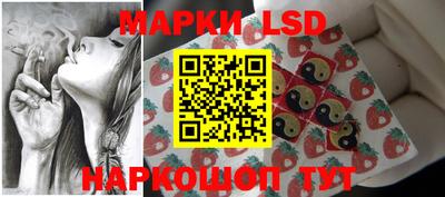 гидропоника Гатчина