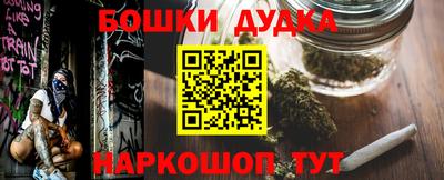 гидропоника Гатчина