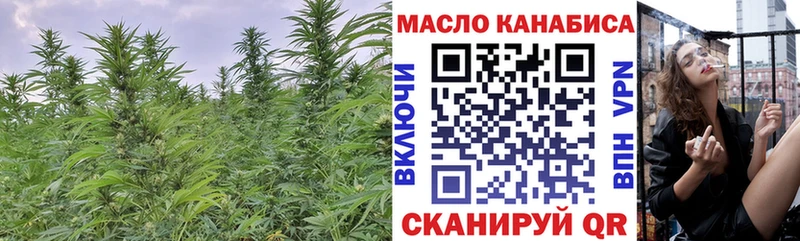 где купить наркоту  сайты даркнета официальный сайт  Дистиллят ТГК гашишное масло  Кыштым 