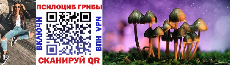 цена наркотик  Кыштым  Псилоцибиновые грибы Psilocybe 