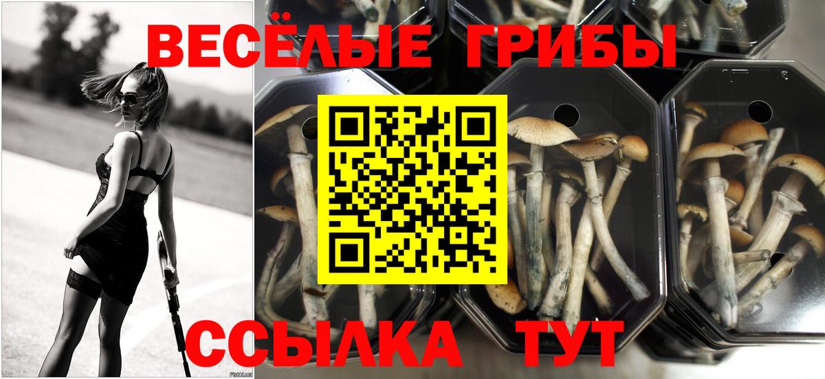 Галлюциногенные грибы MAGIC MUSHROOMS  Вход с VPN  Кыштым  Галлюциногенные грибы прущие грибы 