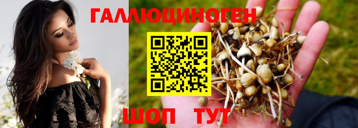 COCAIN  ЭКСТАЗИ  Канабис  Альфа ПВП СК   Вход с VPN  Кыштым  Продажа наркотиков  МЕФ   ГАШ 